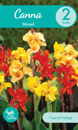 Garden State Bulb Canna Mixed Flower Bulbs Perspective: front