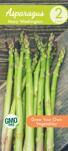 Garden State Bulb Asparagus Mary Washington Seeds Perspective: front