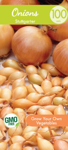 Garden State Bulb Onion Sets Stuttgarter Seeds Perspective: front