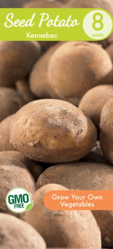 Garden State Bulb Potato Seeds Perspective: front