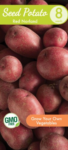Garden State Bulb Potato Red Norland Seeds Perspective: front