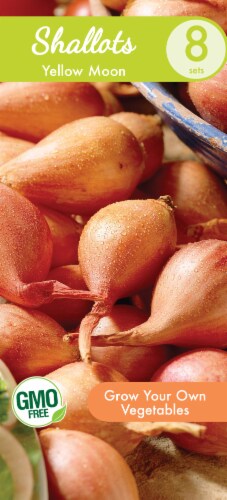 Garden State Bulb Shallot Sets Dutch Yellow Moon Seeds Perspective: front