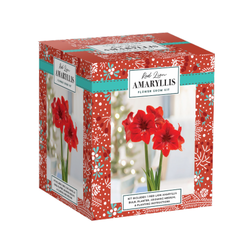 Red Lion Amaryllis Flower Bulb Kit Perspective: front