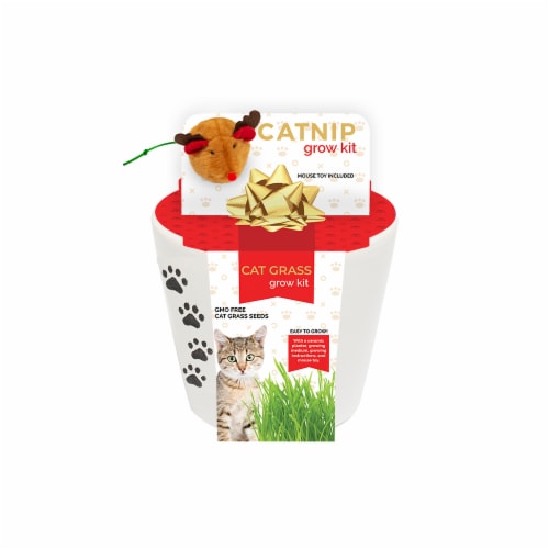 Catnip Grow Kit Catnip Grow Kit