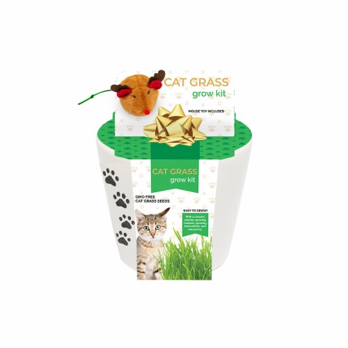 Cat deals grass toy