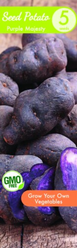 Garden State Bulb Purple Majesty Seed Potato Perspective: front