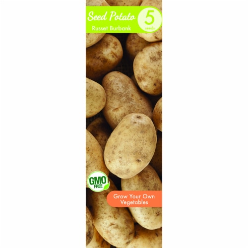 Garden State Bulb Russet Burbank Seed Potato Perspective: front