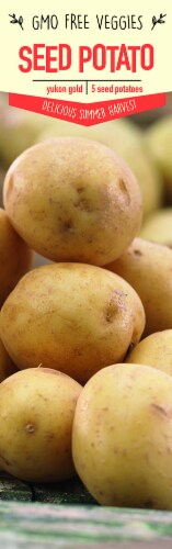 Garden State Bulb Yukon Gold Seed Potatoes Perspective: front