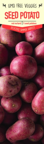 Garden State Bulb Red Norland Seed Potatoes Perspective: front