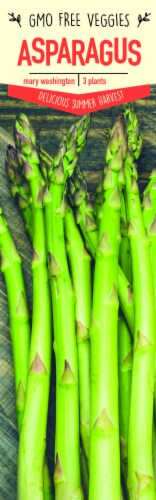 Garden State Bulb Mary Washington Asparagus Plants Perspective: front