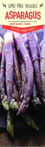 Garden State Bulb Pacific Purple Asparagus Plants Perspective: front