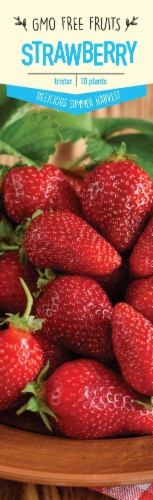 Garden State Bulb Tristar Strawberry Plants Perspective: front