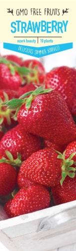 Garden State Bulb Ozark Beauty Strawberry Plants Perspective: front
