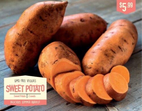 Garden State Bulb Covington Potato Seeds Perspective: front