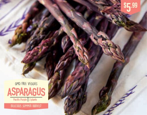Garden State Bulb Pacific Purple Asparagus Seeds Perspective: front