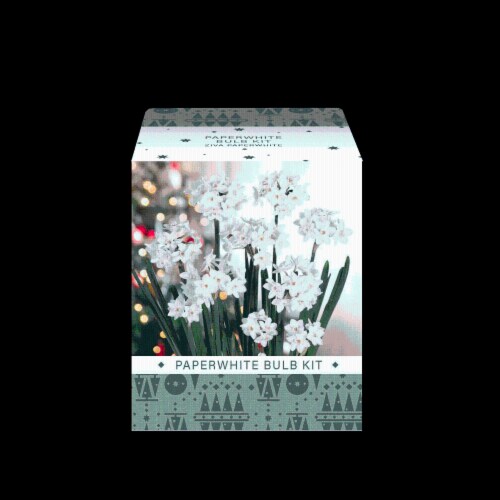 Garden State Bulb Paperwhite Kit Perspective: front
