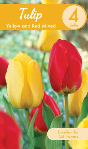 Mixed Tulips - Red/Yellow Perspective: front