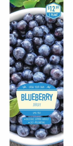 Blueberry Jersey Plant Seed Perspective: front
