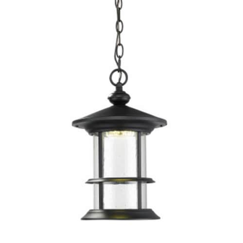 Zlite 552CHM-BK-LED Outdoor LED Black Chain Hung Light - Clear Seedy Perspective: front