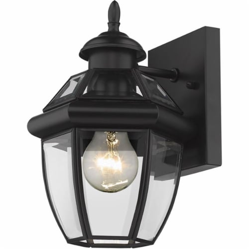 Z-Lite Westover 11  Clear Glass Brass Outdoor Wall Sconce in Black Perspective: front