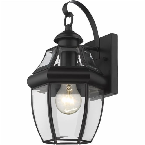 Z-Lite Westover 14"" Clear Glass Brass Outdoor Wall Sconce in Black Perspective: front