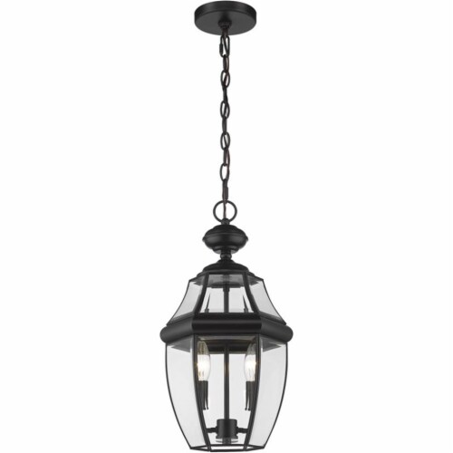 Z-Lite Westover 2 Light Clear Glass Brass Outdoor Chain Mounted Pendant in Black Perspective: front