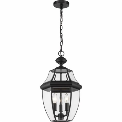 Z-Lite Westover 3 Light Clear Glass Brass Outdoor Chain Mounted Pendant in Black Perspective: front