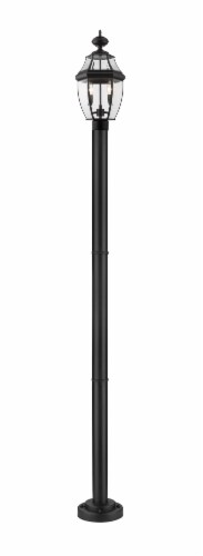 2 Light Outdoor Post Mounted Fixture Frame Finish Black Perspective: front