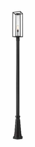 1 Light Outdoor Post Mounted Fixture Frame Finish Black Perspective: front