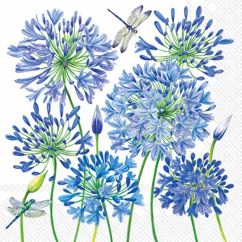 Boston international agapanthus paper napkins 1 pk kroger