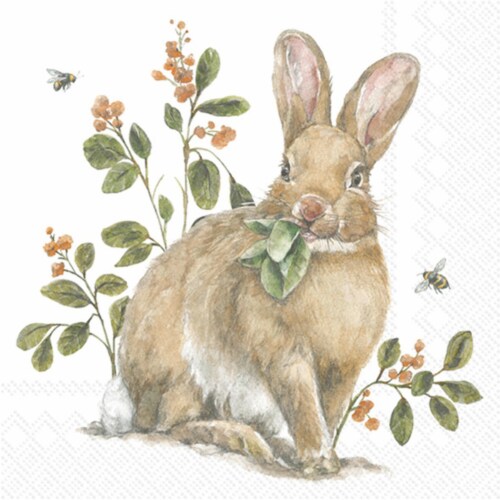 Boston International Garden Bunny Napkins - 1 pk