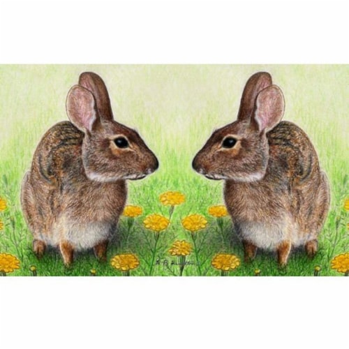 Betsy Drake DM053 18 x 26 in. Rabbits Door Mat Perspective: front