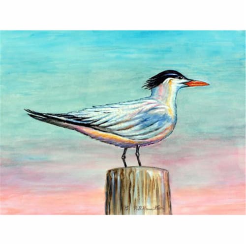 Betsy Drake PM951 Royal Tern Place Mat - Set of 4 Perspective: front