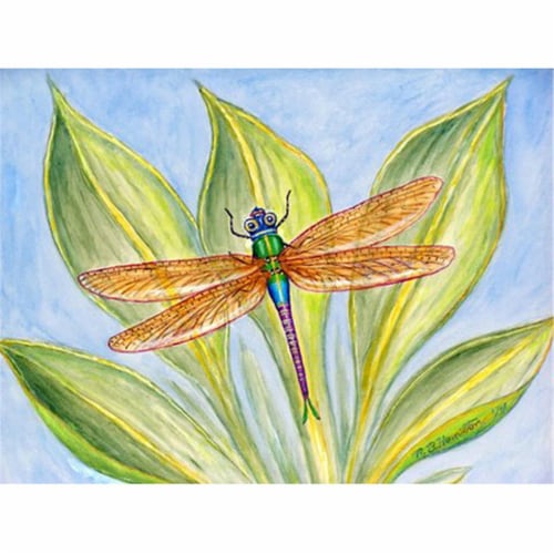 Betsy Drake PM299 Dicks Dragonfly Place Mat - Set of 4 Perspective: front