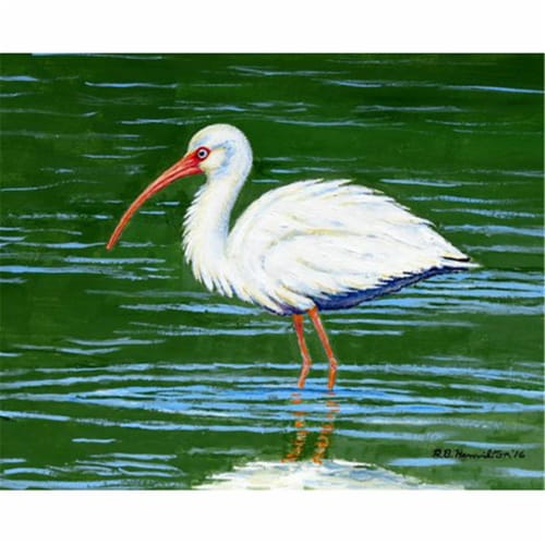 Betsy Drake DM378 Dicks White Ibis Door Mat, Small Perspective: front
