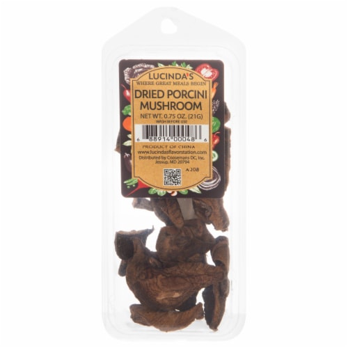 Lucinda's Porcini Mushroom Perspective: front