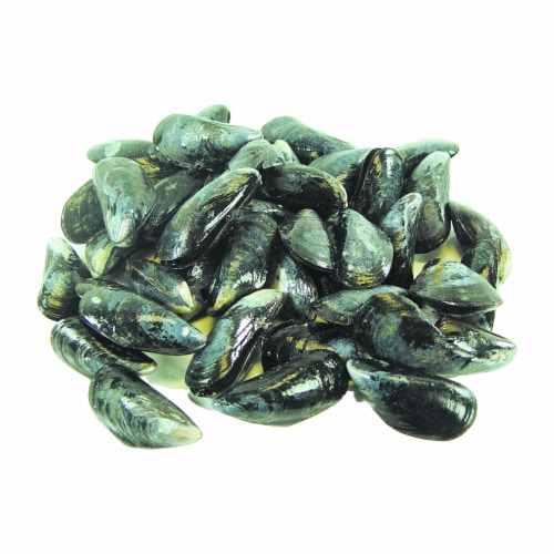 Fresh Mussels Perspective: front