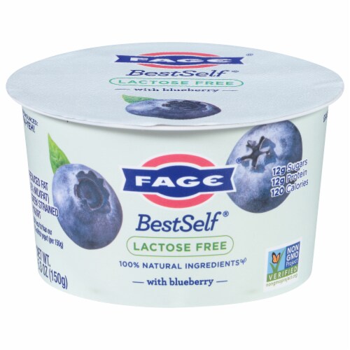 FAGE® BestSelf® Lactose Free With Blueberry Perspective: front