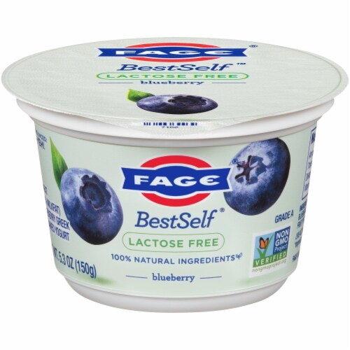 Greek shop yogurt lactose