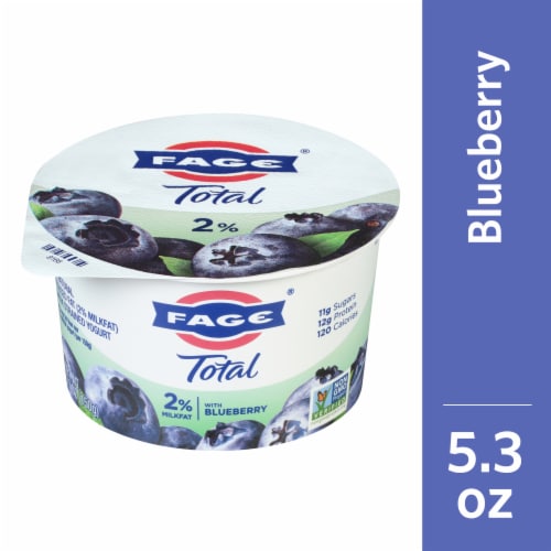 Fage® Total Blueberry 2% Milkfat Low Fat Greek Yogurt Cup Perspective: front