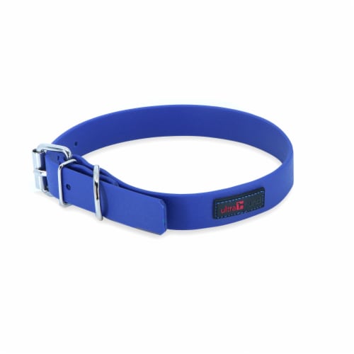 Collar - Play Regular Buckle, 1" Wide - Fits neck 16" to 20" - Blue Perspective: front