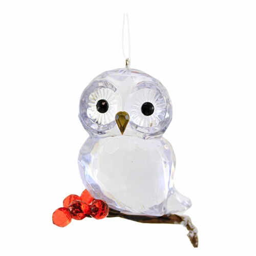 Crystal Expressions Winter Owl Ornament Acrylic Wise Berries Acryx237 Perspective: front