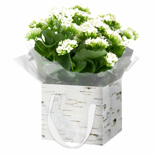 White Blooming Flowers in Birch Gift Box Perspective: front