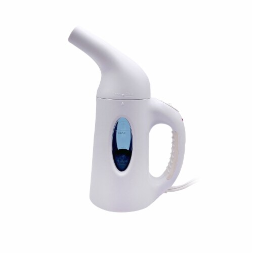 Buy garment steamer online discount