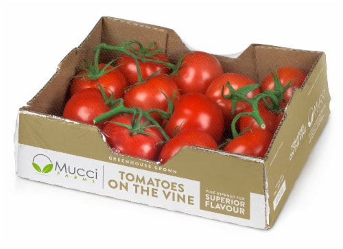 Mucci Farms Tomatoes on the Vine Perspective: front