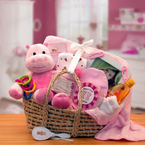 Baby Girl Gift Basket in Hampton Falls, NH