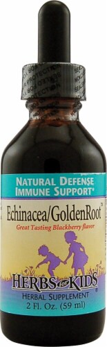 Herbs For Kids  Echinacea GoldenRoot™   Blackberry Perspective: front