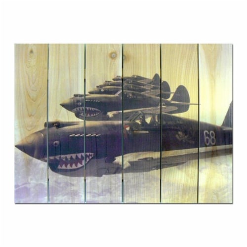 DaydreamHQ HC3324 P40 Warhawks - 33 x 24 Inside & Outside Full Color wood Wall Art Perspective: front