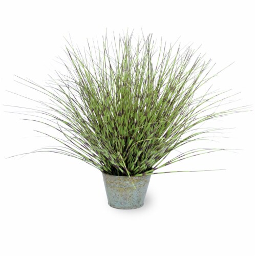 Boston International Zebra Grass - Dark Perspective: front