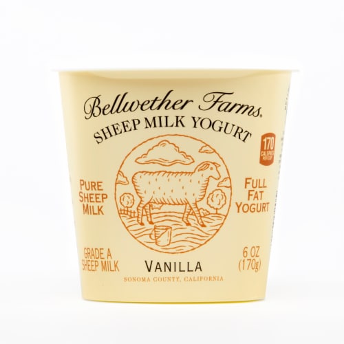 Bellwether Farms Vanilla Sheep Milk Yogurt Perspective: front